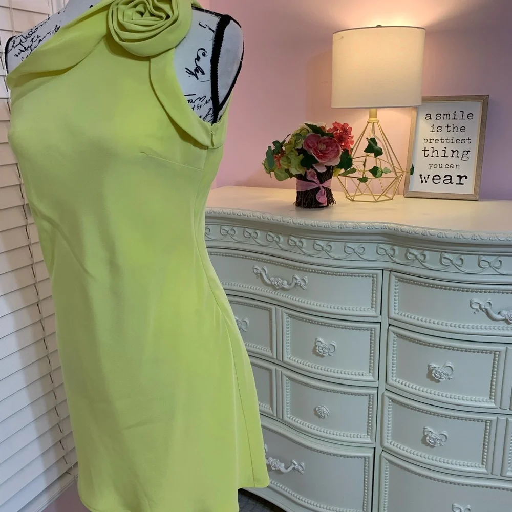 ABS One Shoulder Rosette Mini Dress. Size 2 - Picture 4 of 16